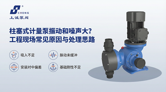 柱塞式计量泵振动和噪声大？工程现场常见原因与处理思路